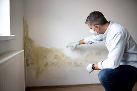 Biohazard Mold Removal in Dayton, TX